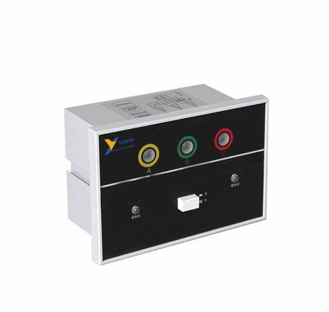 YL-DXN带电显示器